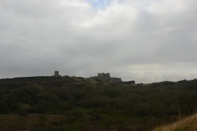 DSC_1309 (Large).JPG